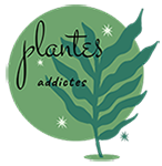 Plantesaddictes-Boutique en ligne proposant une vaste gamme de plantes d'intérieures tendances